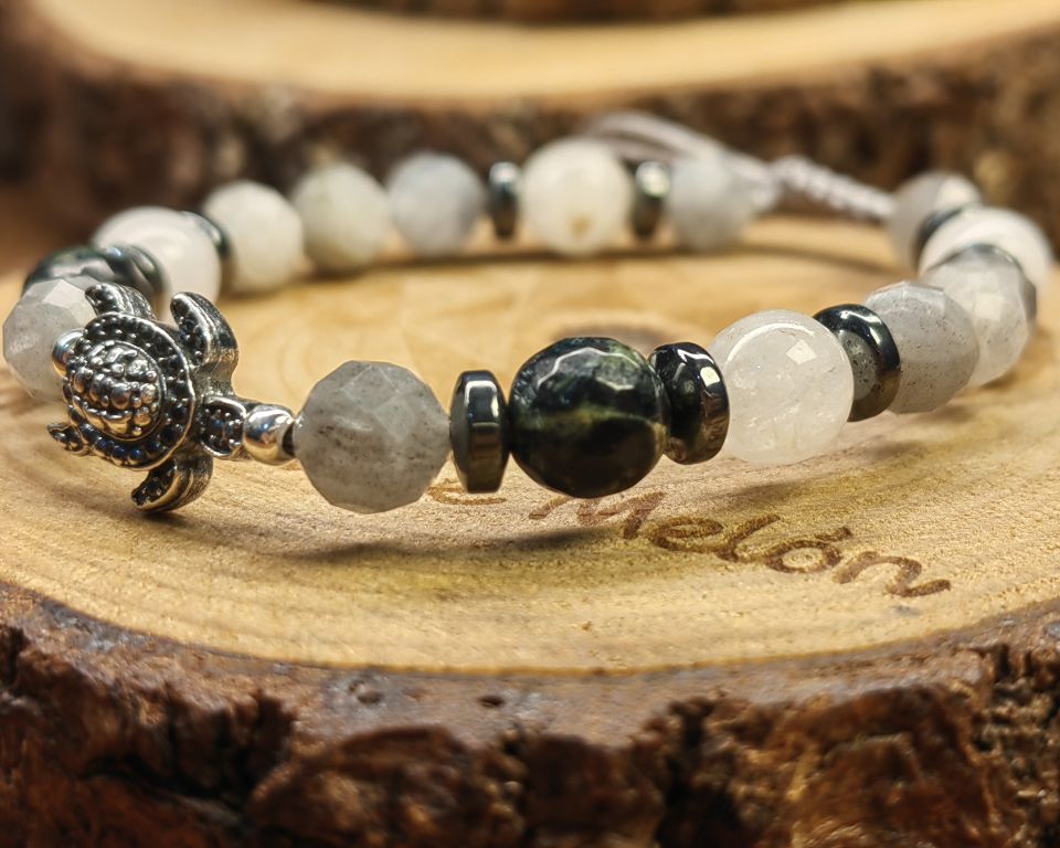 Tortuga plata